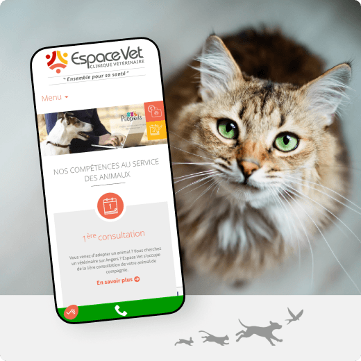 Site web Espace Vet