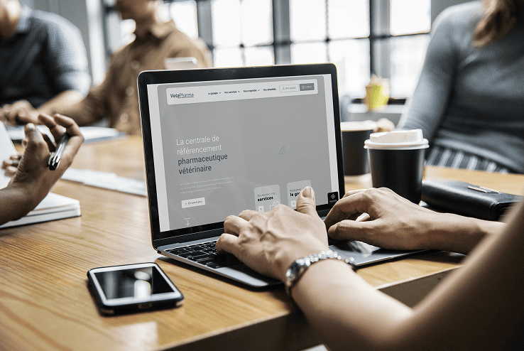 Wireframes Vetapharma